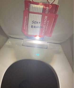 American Airlines Flight Attendant Tape iPhone to toilet seat to record 14-year-old girl.